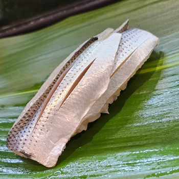 �R�n�_�̈���