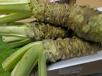 ���쌧���ܖ�̃��T�r