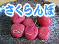 さくらんぼ漬け