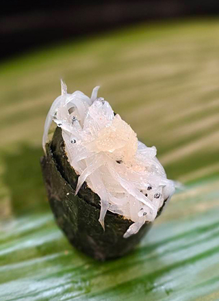 白魚の軍艦